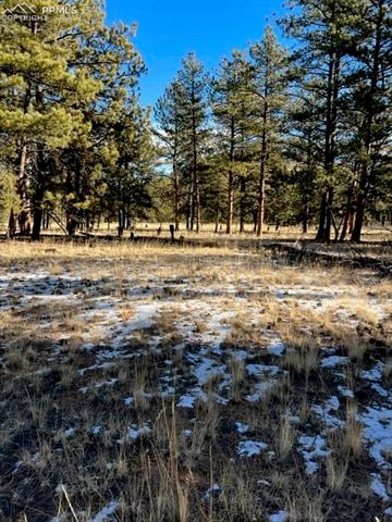 185 Haystack Road Hartsel, CO 80449 - Photo 3 of 15 Gallery Image 3