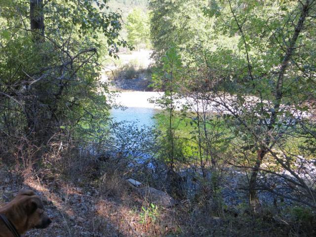 2500 Van Duzen Road Bridgeville, CA 95526 - Photo 31 of 48