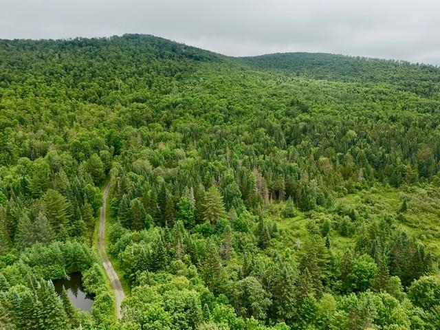796 New Duck Pond Road Sheffield, VT 05866 - Photo 1 of 19