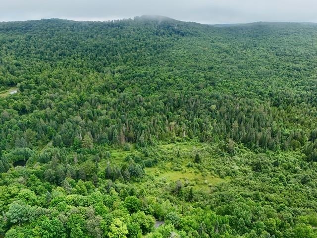 796 New Duck Pond Road Sheffield, VT 05866 - Photo 10 of 19