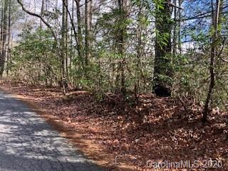 28 Cardinal Road, Unit D28 Sapphire, NC 28774 - Photo 1 of 15 Gallery Image 1