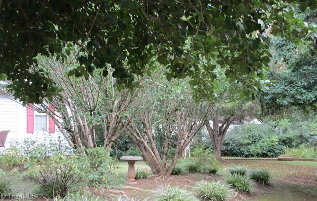159 Trinity Drive King, NC 27021 - Photo 3 of 15 Gallery Image 3