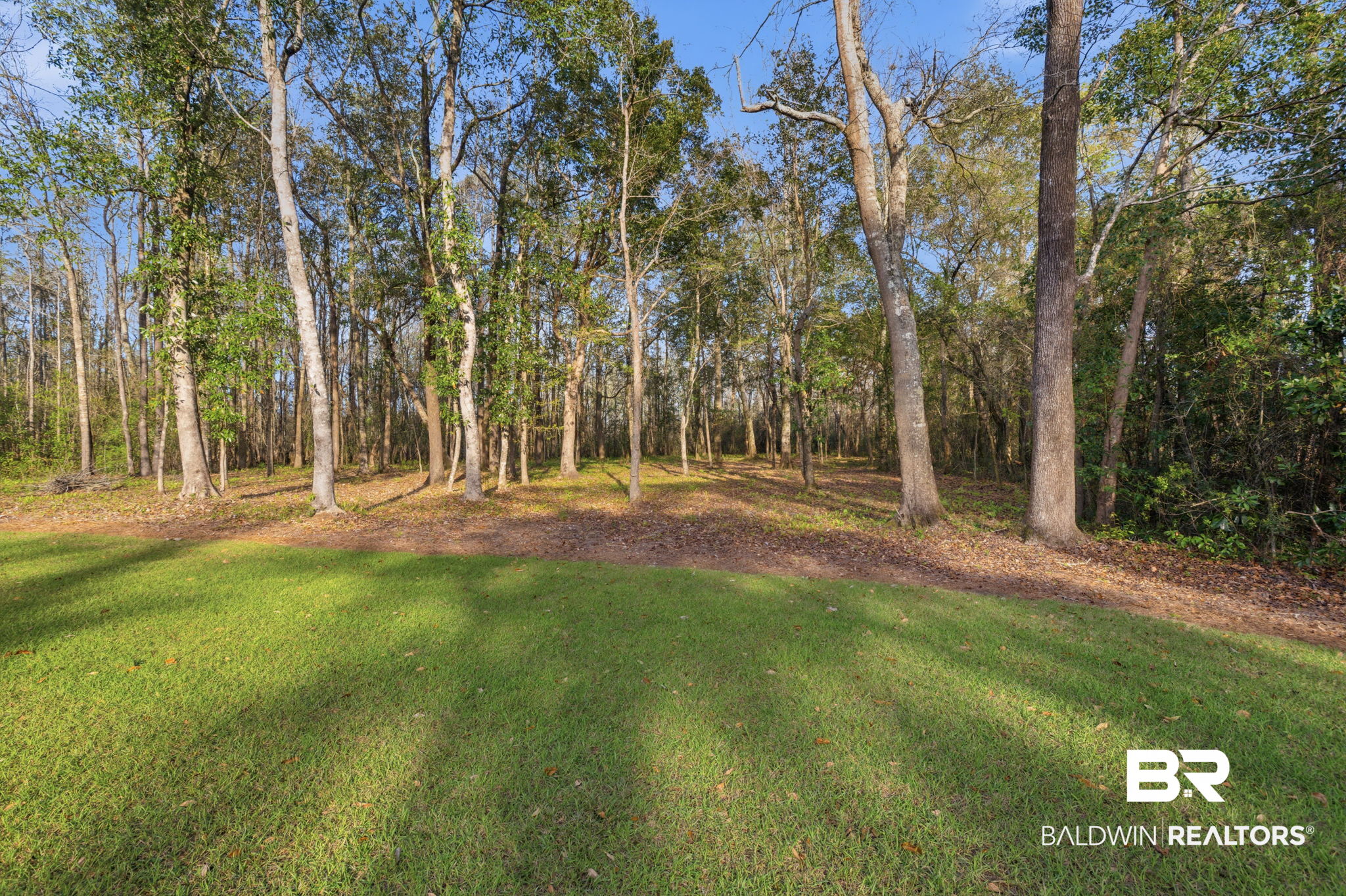 9501 Ben Hamilton Road Theodore, AL 36582 - Photo 13 of 71 Gallery Image 13