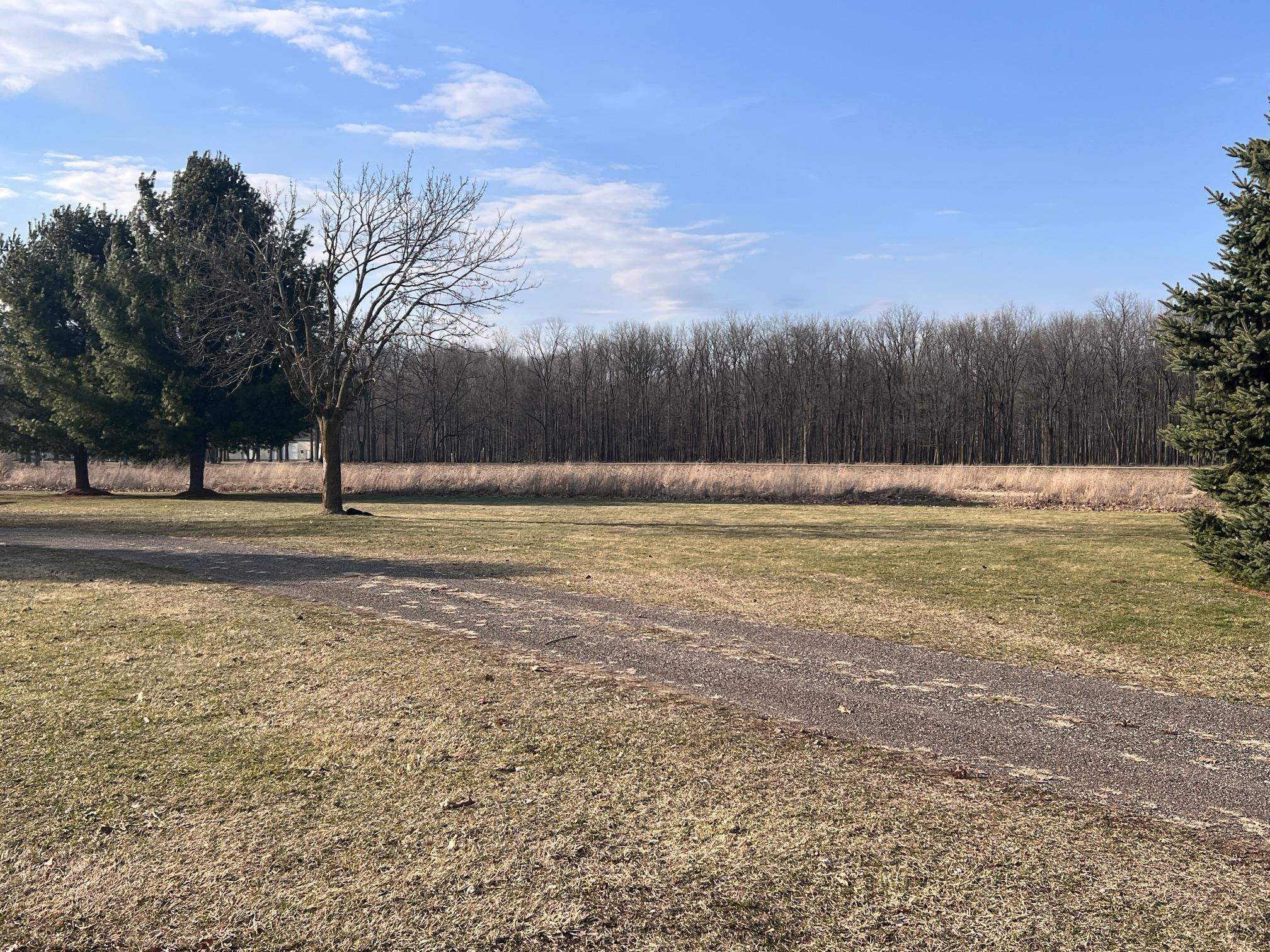 4740 South Francis Road St. Johns, MI 48879 - Photo 32 of 38