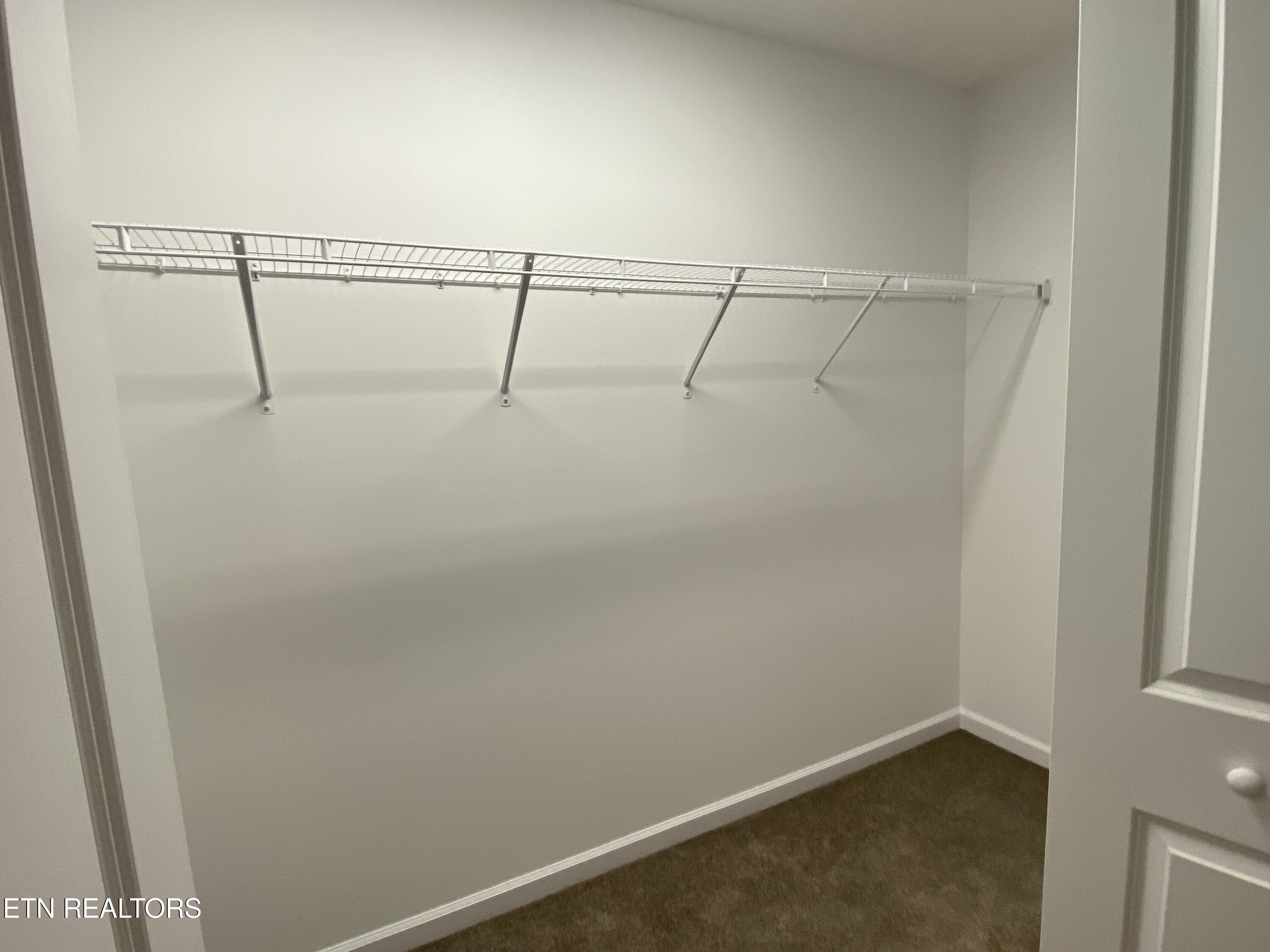 6534 Colossal Lane Corryton, TN 37721 - Photo 23 of 35 Primary BR Closet