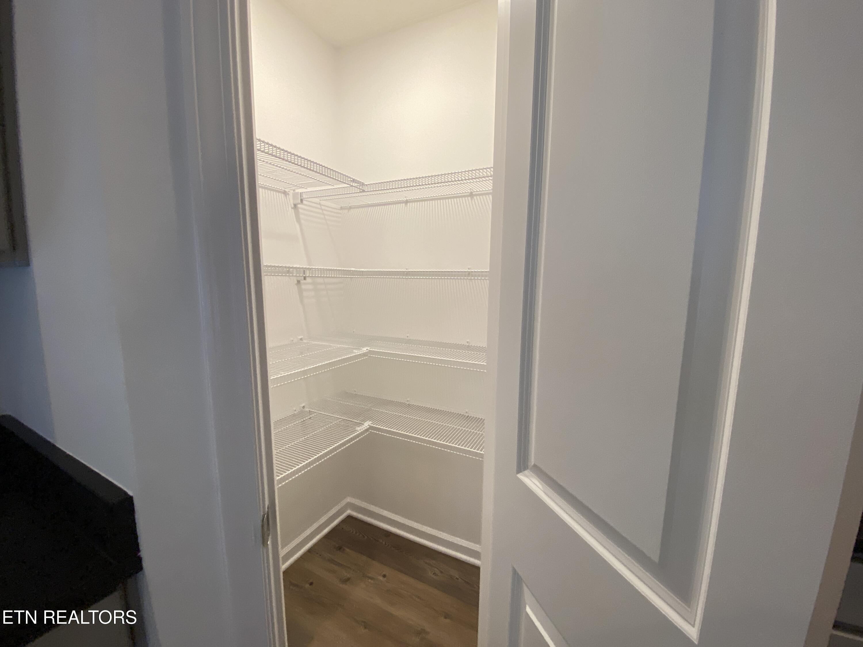 6534 Colossal Lane Corryton, TN 37721 - Photo 9 of 35 Kitchen Pantry