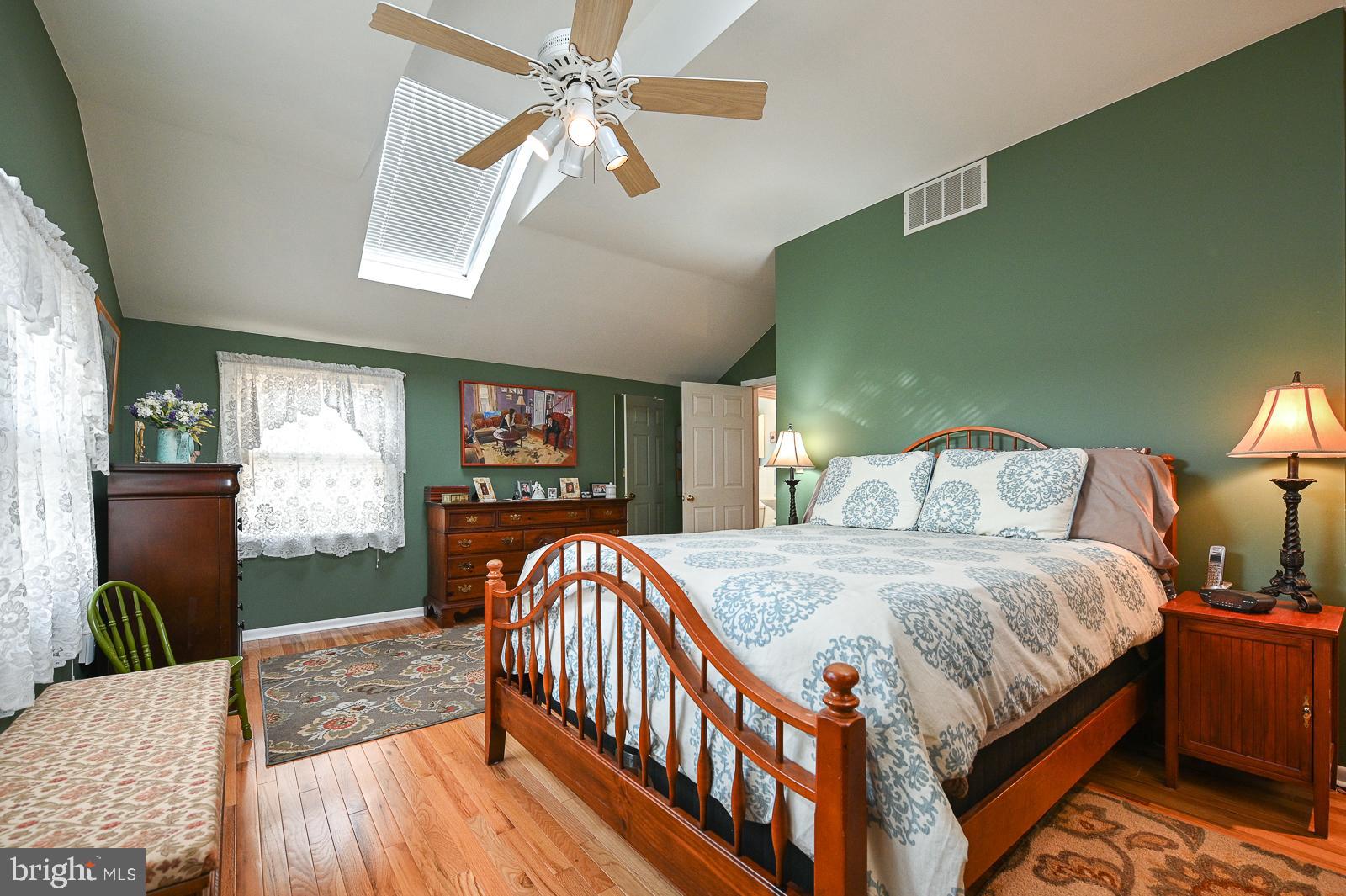 112 Congress Avenue Springfield, PA 19064 - Photo 16 of 28 Master Suite with Cathedral Ceiling and Skylights