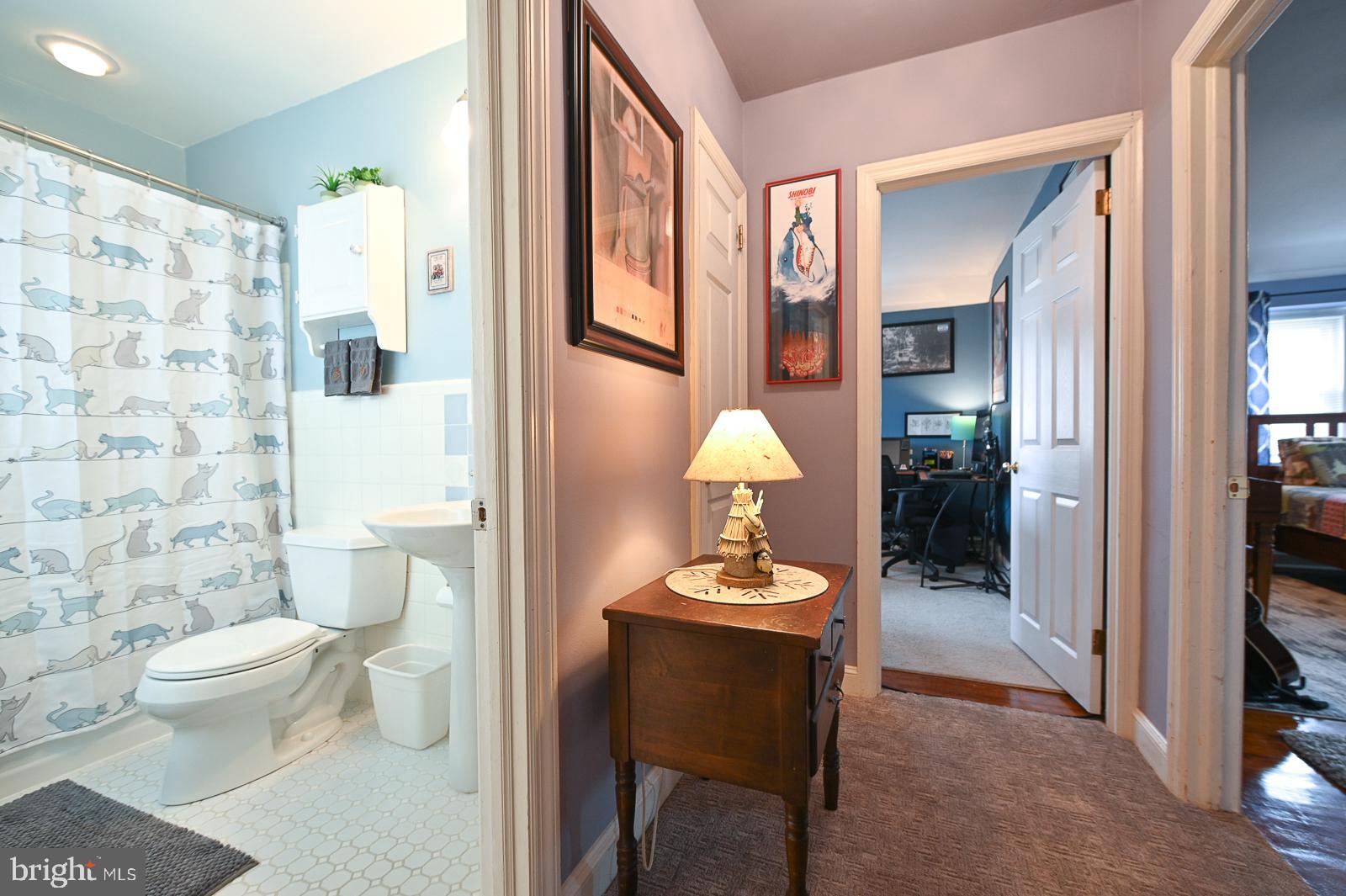 112 Congress Avenue Springfield, PA 19064 - Photo 19 of 28 Upstairs Hall Leading out of Master Suite