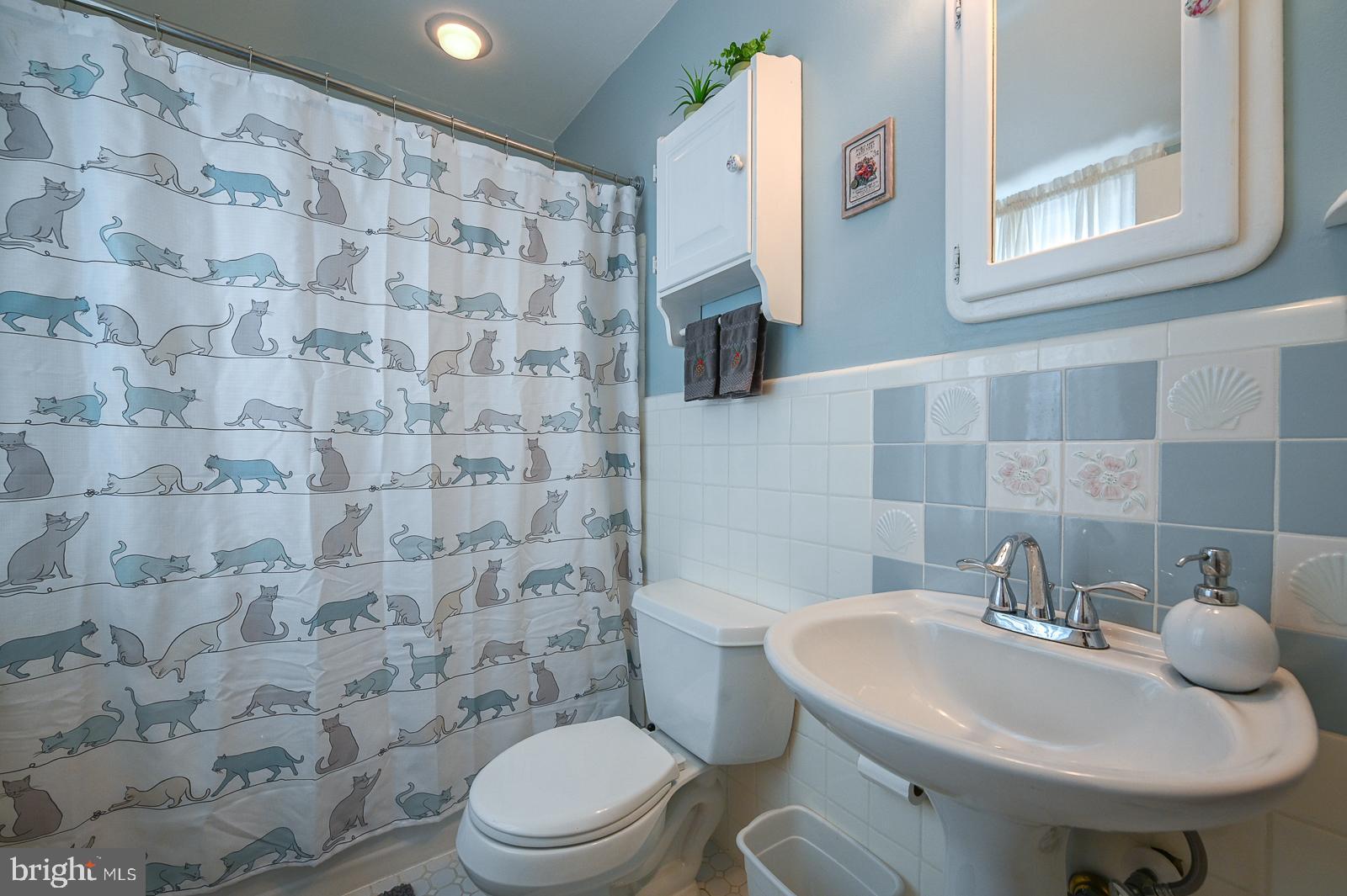 112 Congress Avenue Springfield, PA 19064 - Photo 24 of 28 Hall Bath