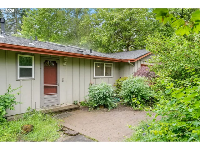 a view of a backyard with plants