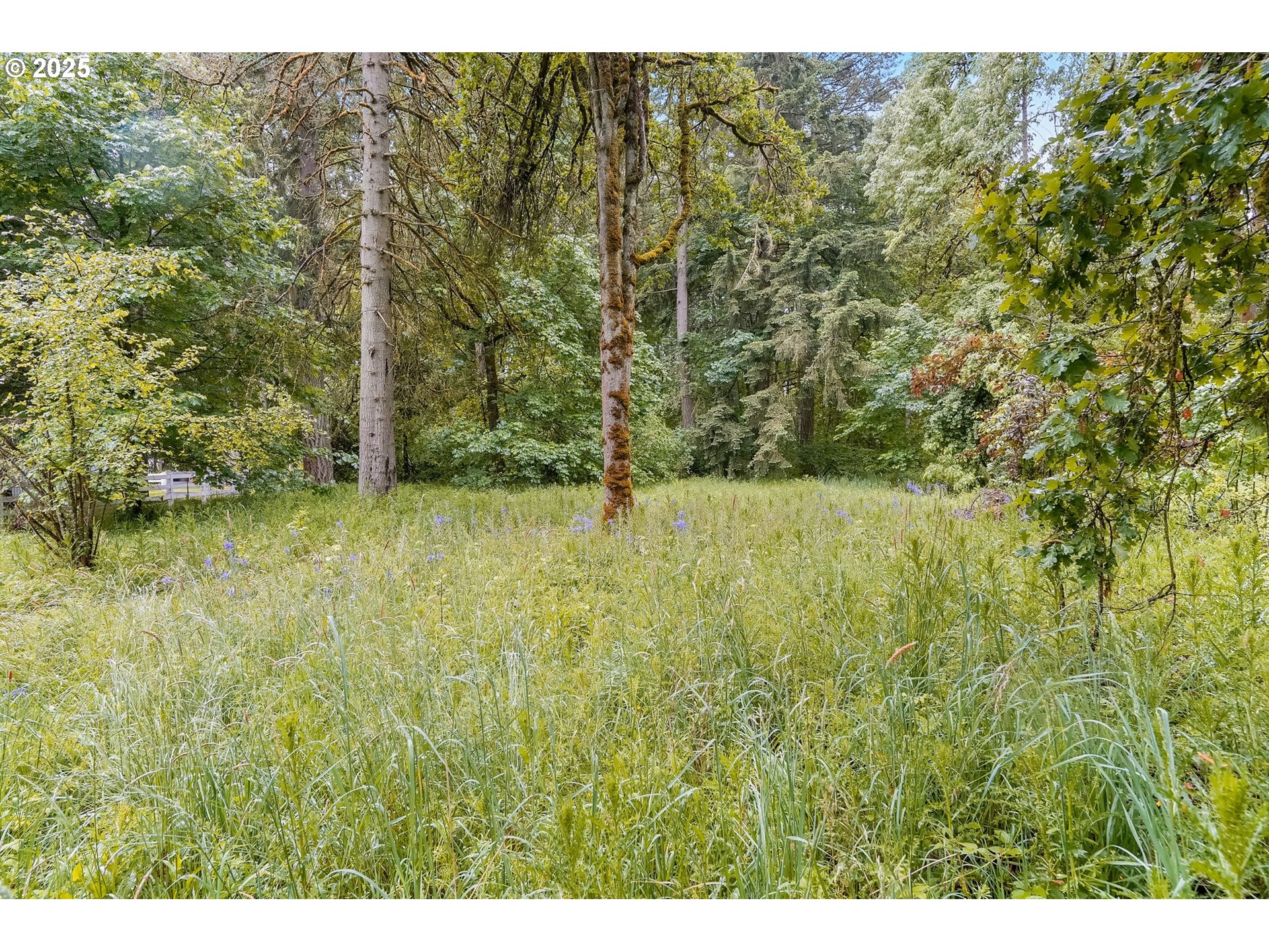 6786 Rochester Street Northeast Salem, OR 97305 - Photo 39 of 40