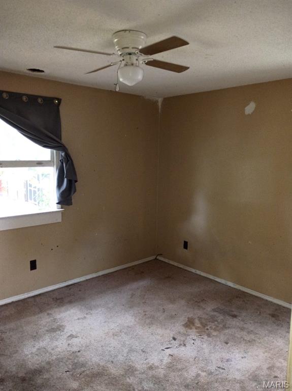 2103 Hortense Street Murphysboro, IL 62966 - Photo 11 of 29