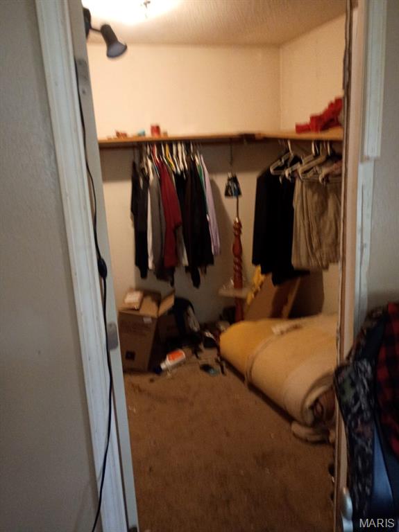 2103 Hortense Street Murphysboro, IL 62966 - Photo 12 of 29