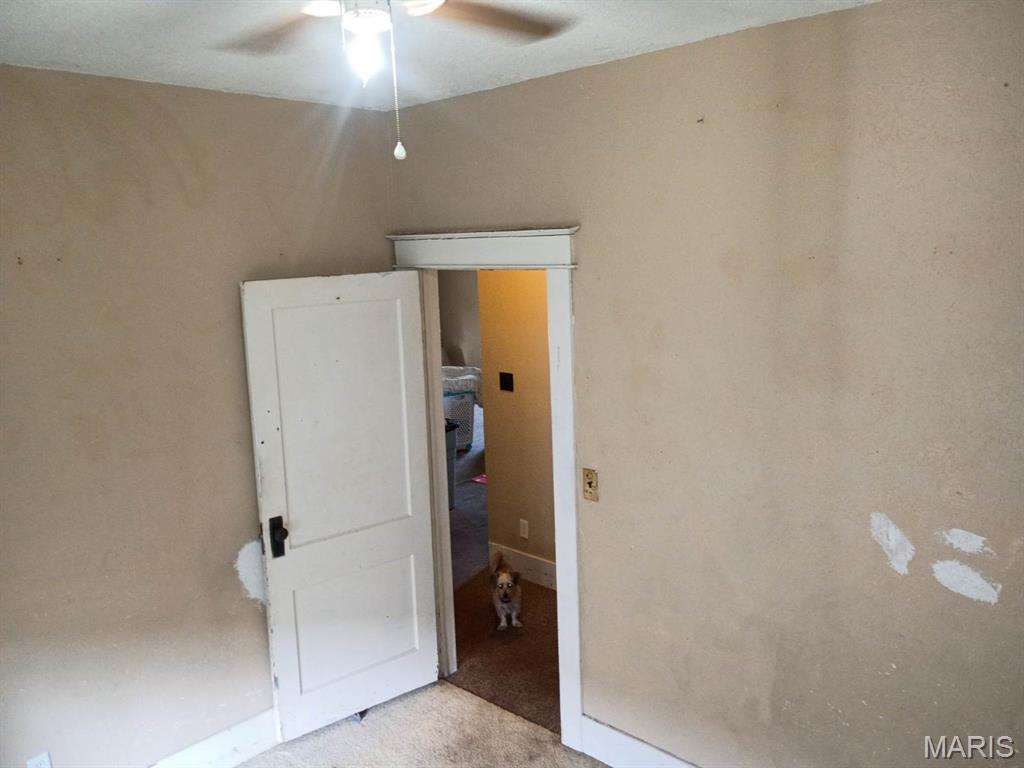 2103 Hortense Street Murphysboro, IL 62966 - Photo 13 of 29