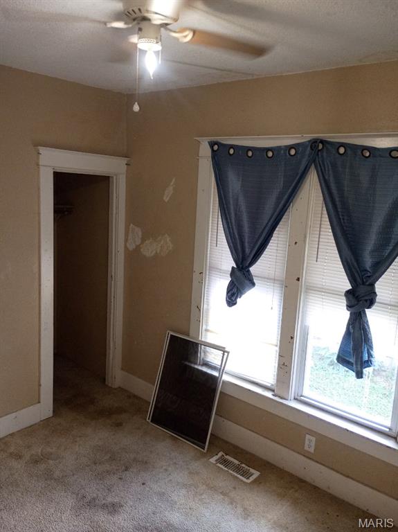 2103 Hortense Street Murphysboro, IL 62966 - Photo 16 of 29