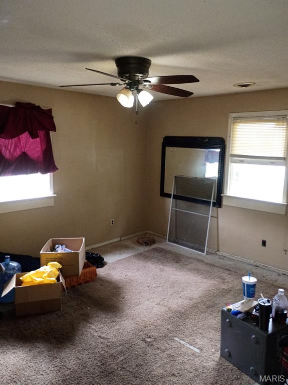 2103 Hortense Street Murphysboro, IL 62966 - Photo 17 of 29