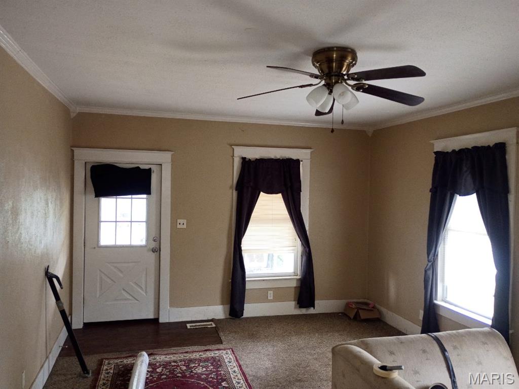 2103 Hortense Street Murphysboro, IL 62966 - Photo 3 of 29