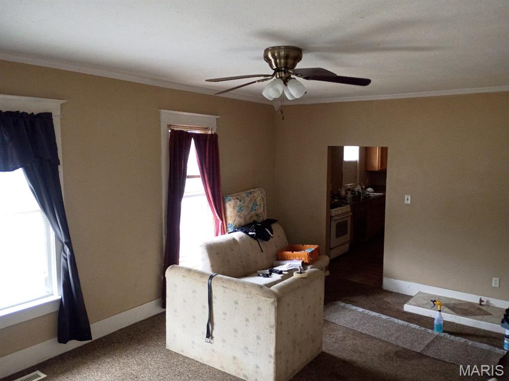 2103 Hortense Street Murphysboro, IL 62966 - Photo 4 of 29