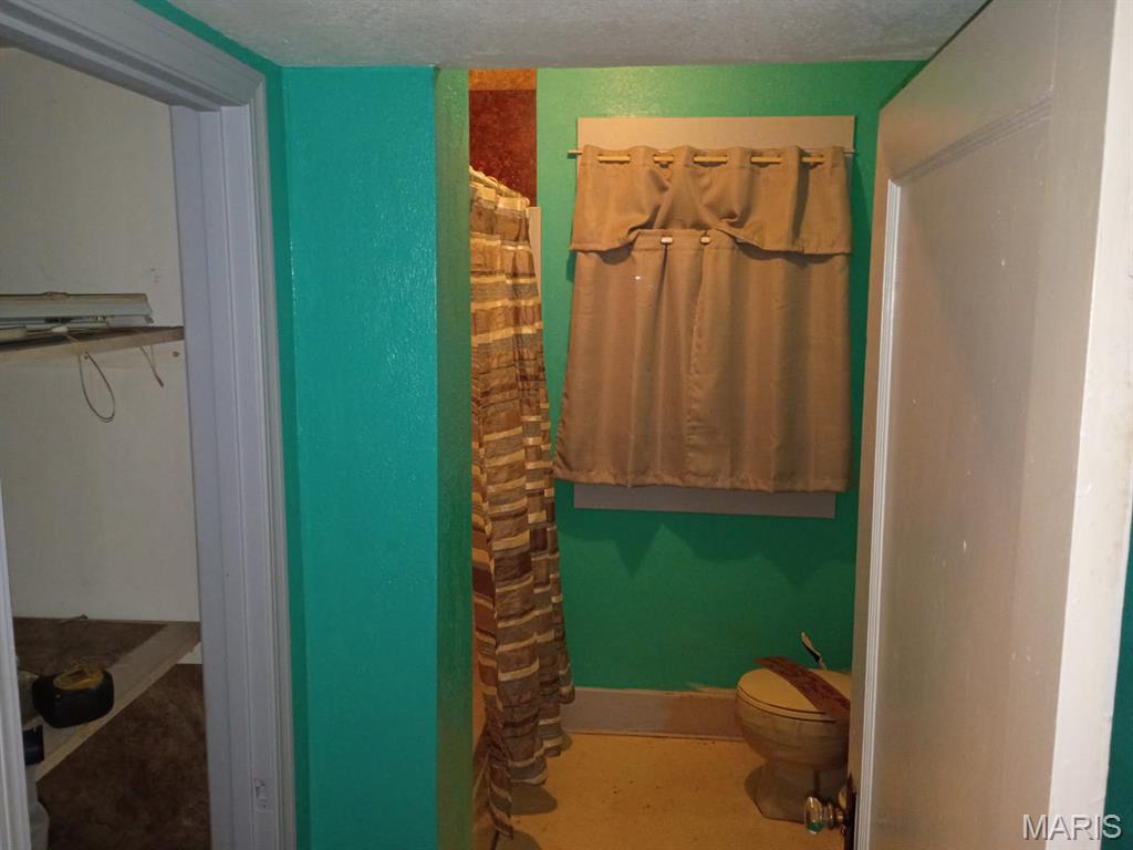 2103 Hortense Street Murphysboro, IL 62966 - Photo 8 of 29