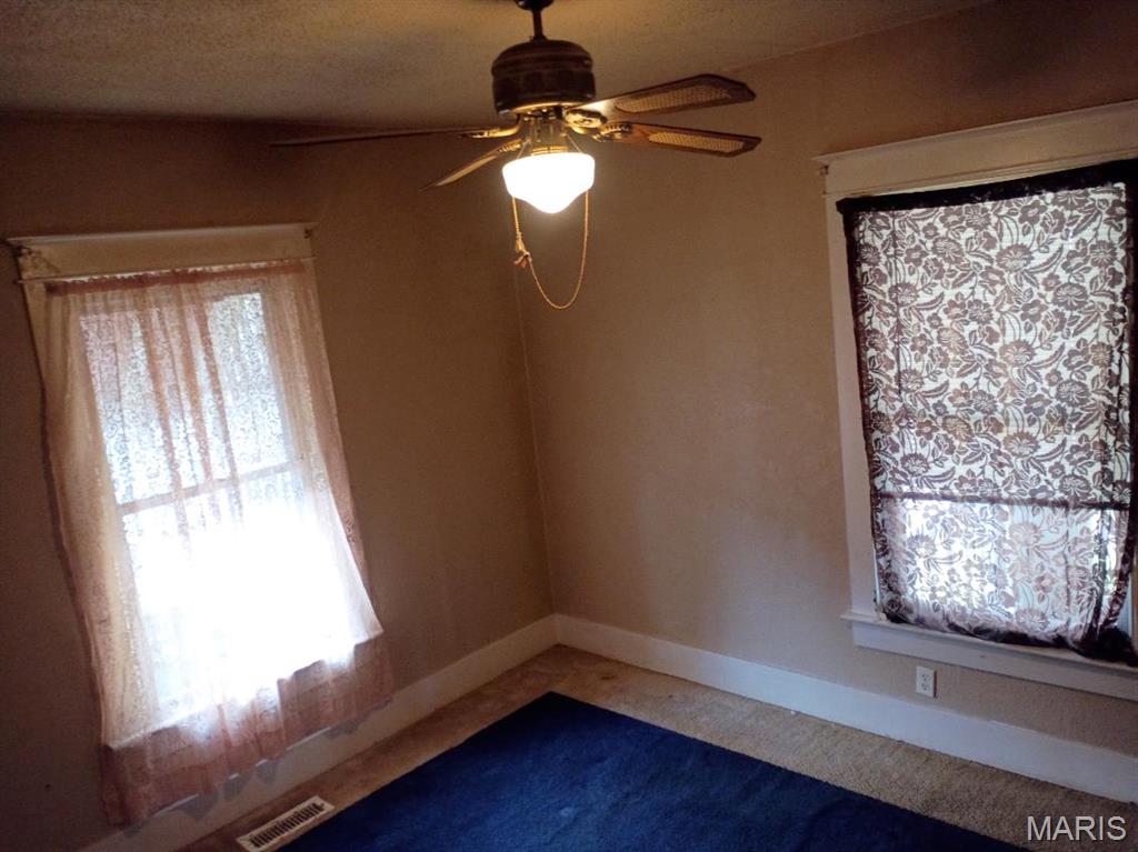 2103 Hortense Street Murphysboro, IL 62966 - Photo 10 of 29