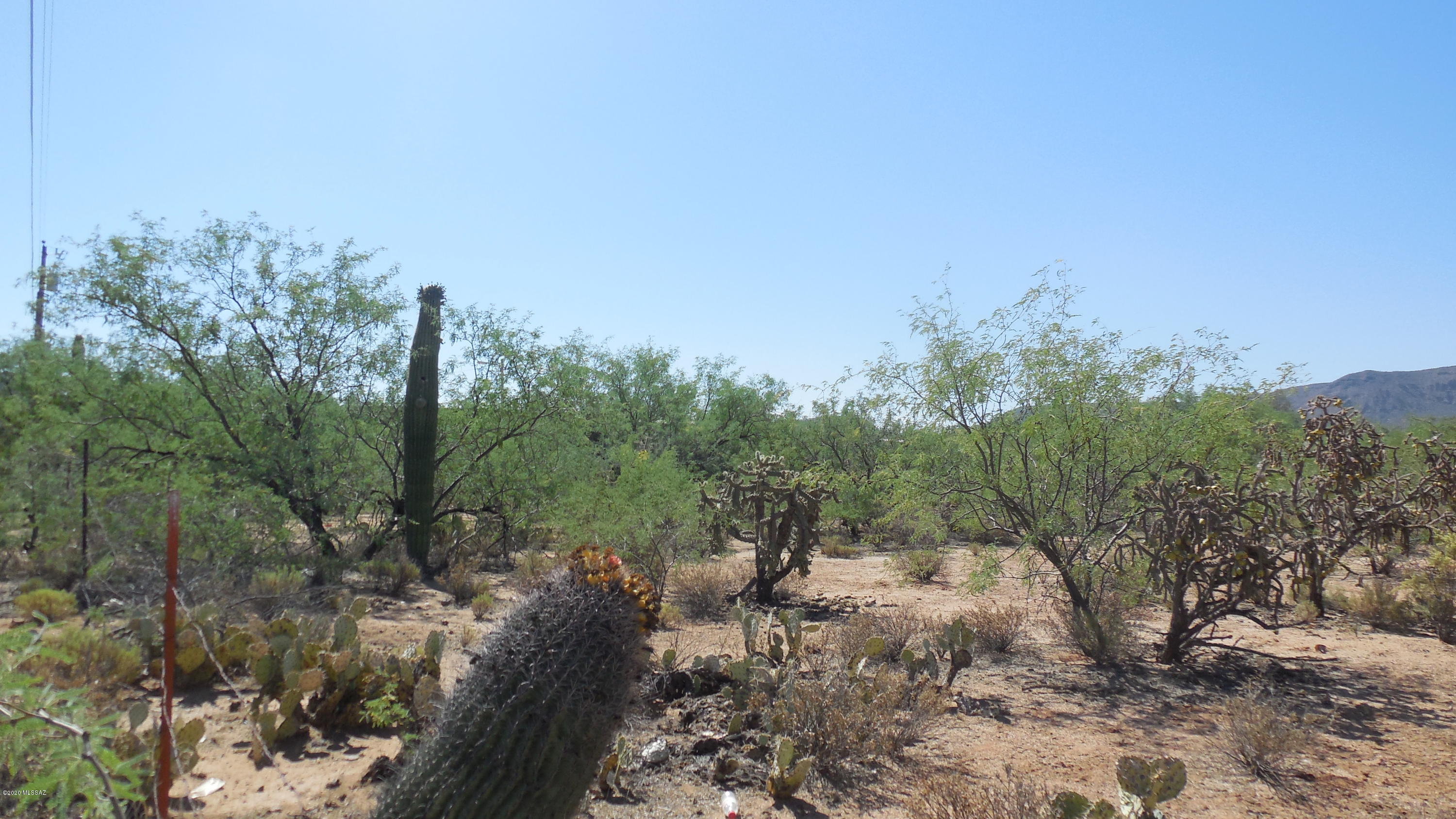 0 West Elvado Road Tucson, AZ 85757 - Photo 6 of 14