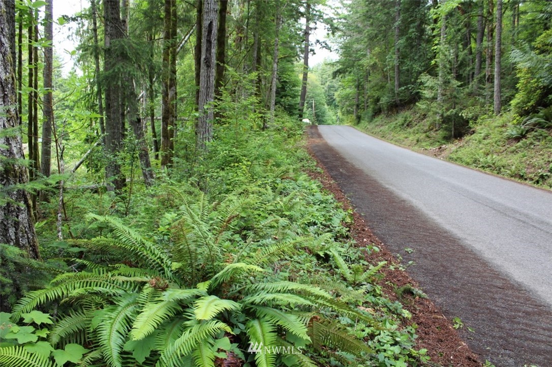 9999 Rocky Brook Road Brinnon, WA 98320 - Photo 1 of 7 Gallery Image 1