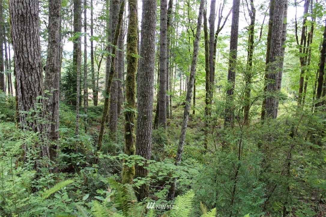 9999 Rocky Brook Road Brinnon, WA 98320 - Photo 7 of 7 Gallery Image 7