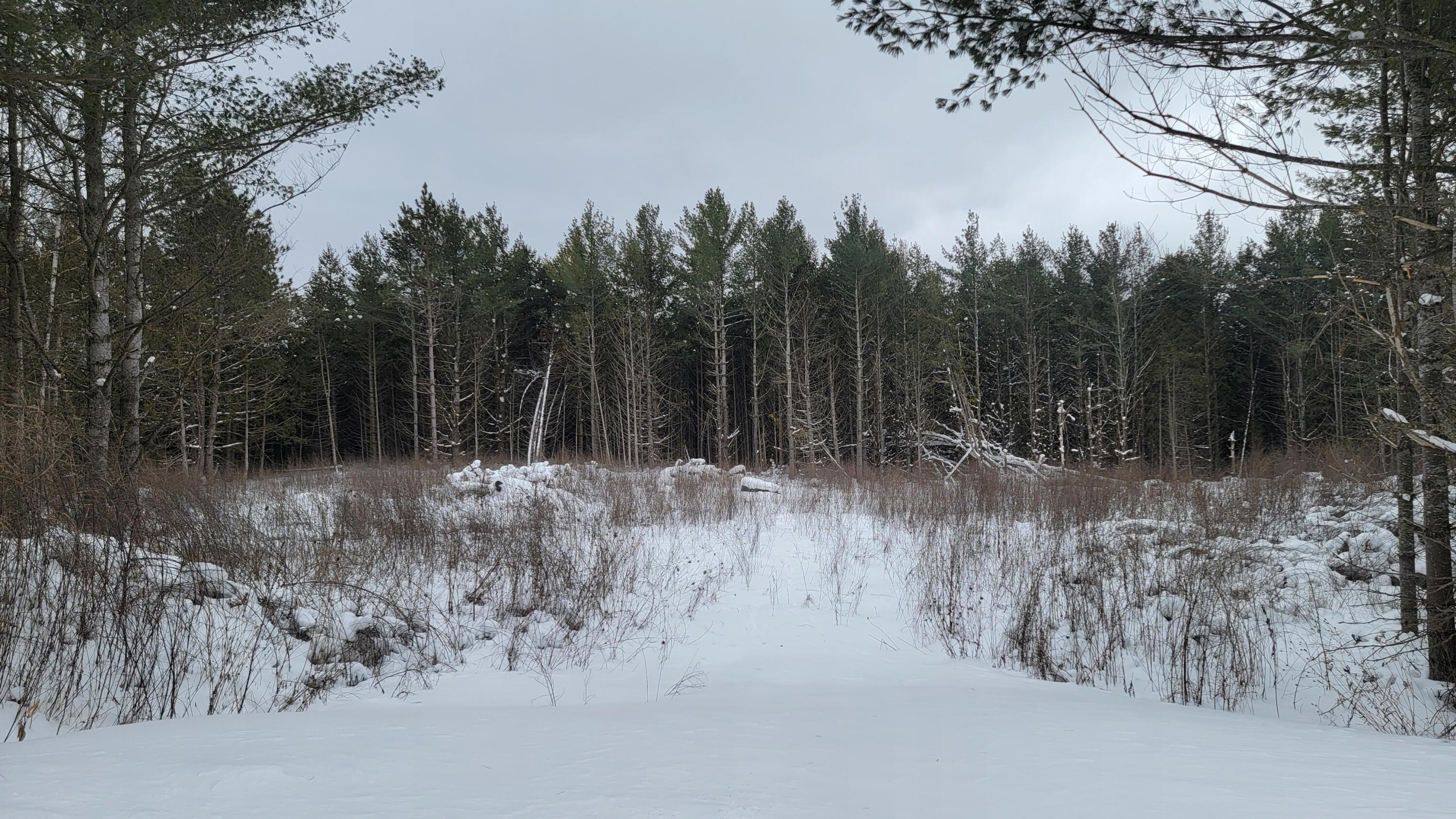 Dukes Road Moran, MI 49760 - Photo 2 of 20 Gallery Image 2