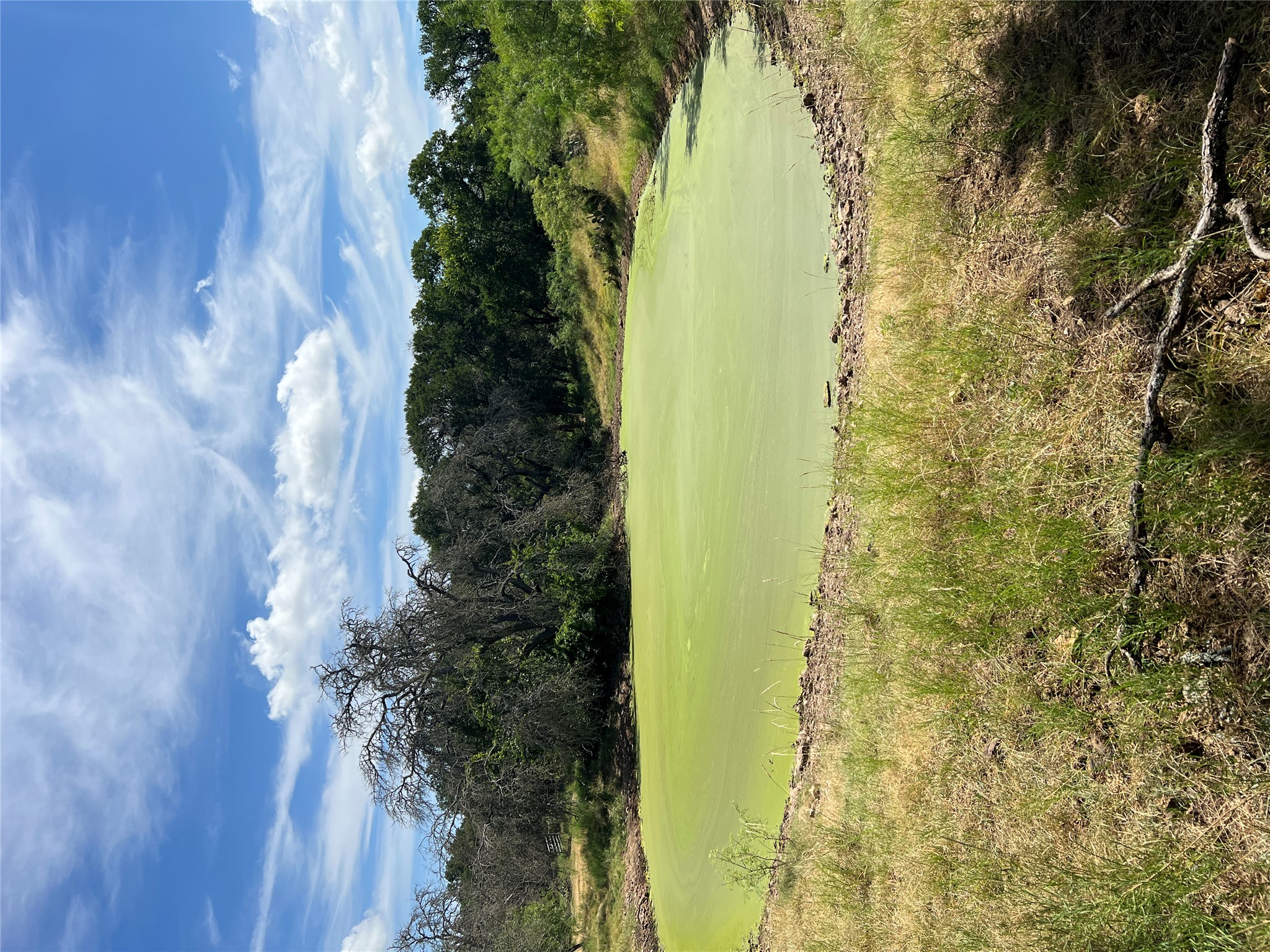 200/ Shady Grove Road Bertram, TX 78605 - Photo 14 of 17 A tranquil pond awaits amidst a verdant landscape, offering a peaceful natural escape.