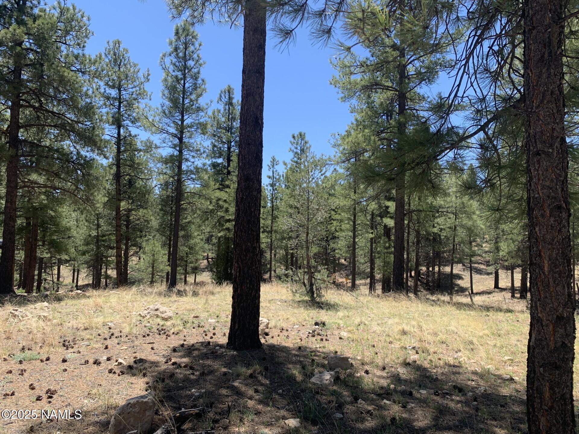 2343 East Del Rae Drive, Unit 176 Flagstaff, AZ 86005 - Photo 2 of 7 a street view covered with snow