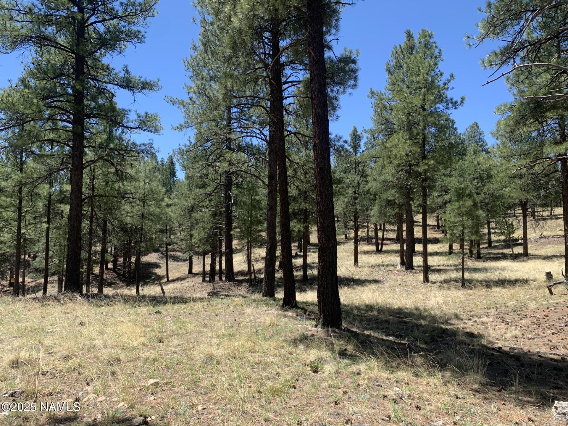 2343 East Del Rae Drive, Unit 176 Flagstaff, AZ 86005 - Photo 3 of 7 a view of outdoor space with seating