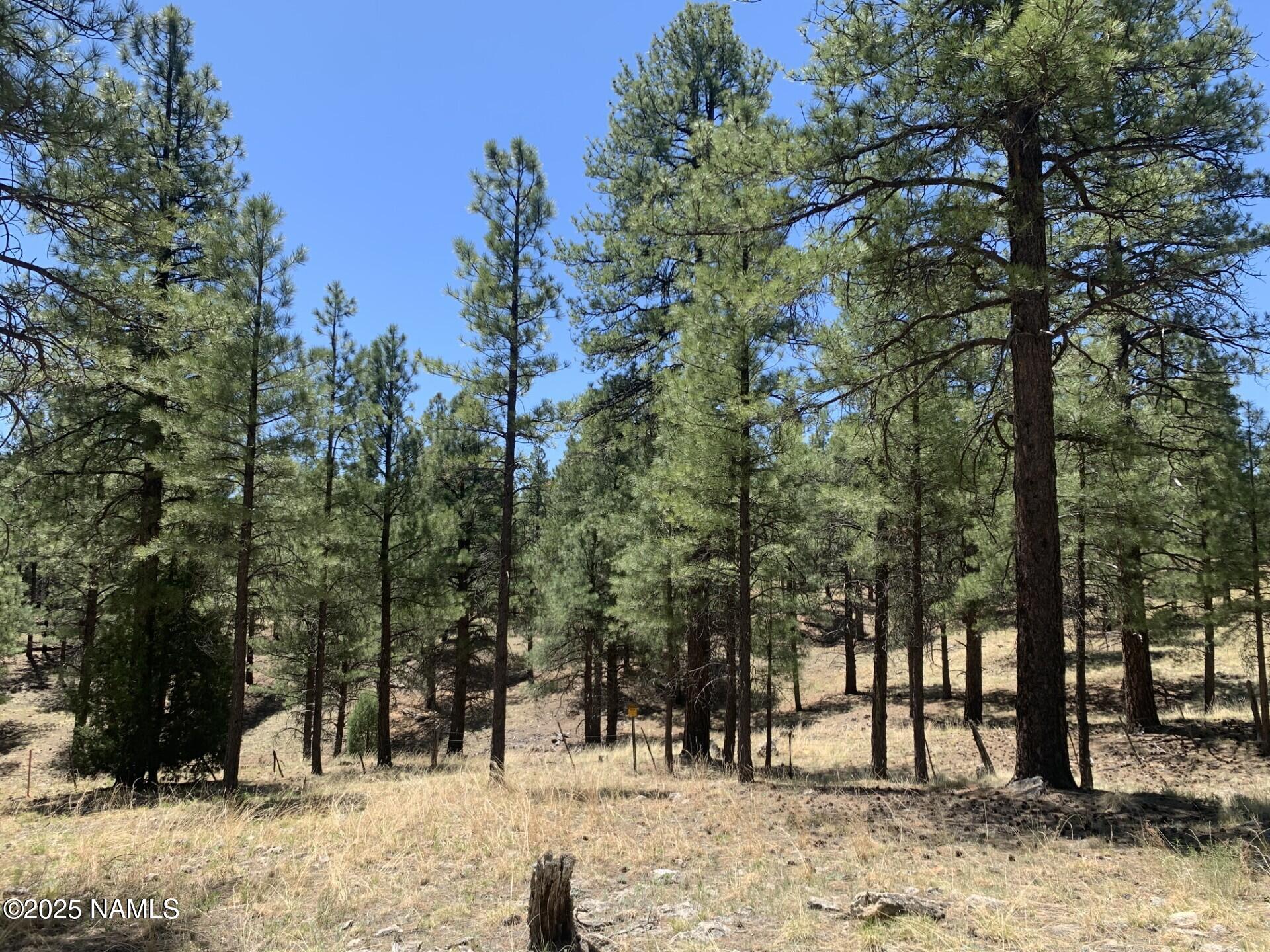 2343 East Del Rae Drive, Unit 176 Flagstaff, AZ 86005 - Photo 5 of 7 a view of outdoor space with trees