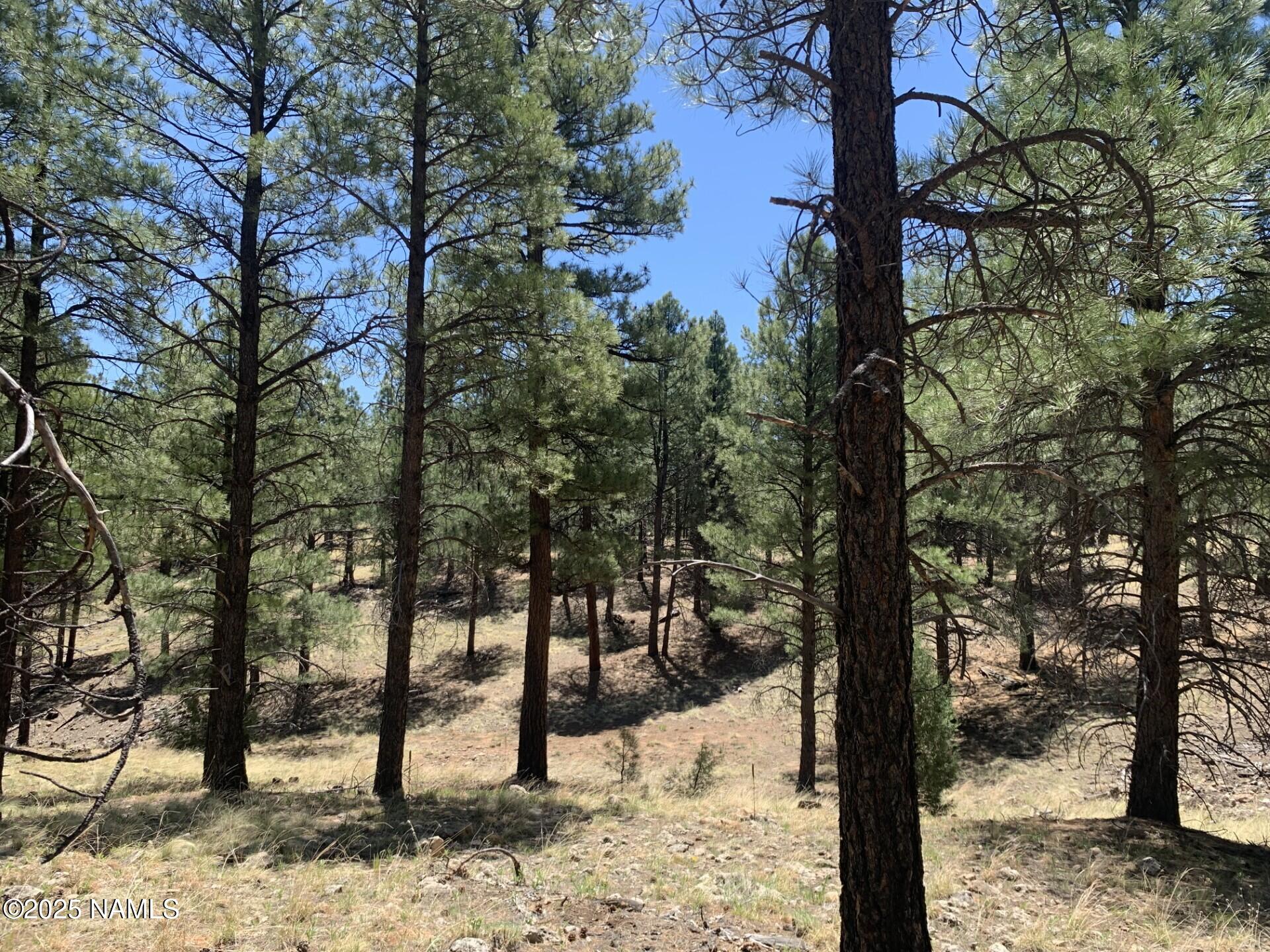 2343 East Del Rae Drive, Unit 176 Flagstaff, AZ 86005 - Photo 7 of 7