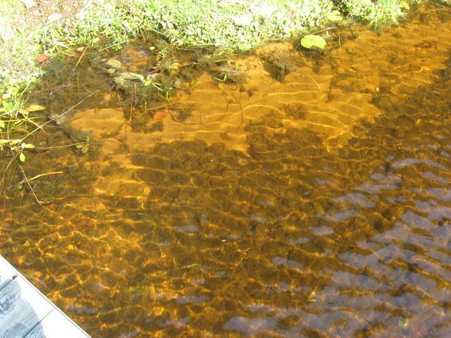 9533 Beaver Road Presque Isle, WI 54557 - Photo 19 of 20 Gallery Image 19