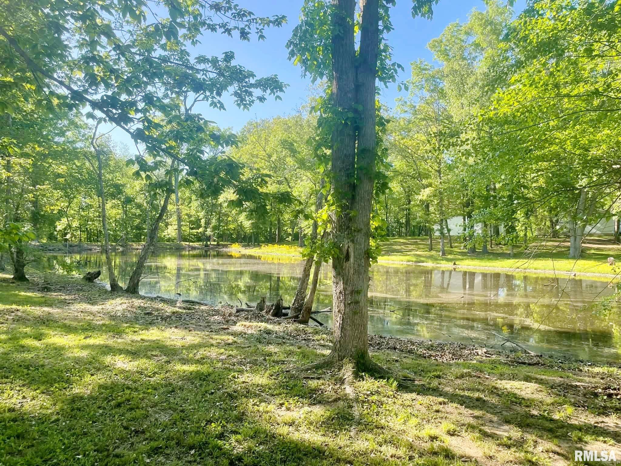 6985 Izaac Walton Road Benton, IL 62812 - Photo 16 of 19