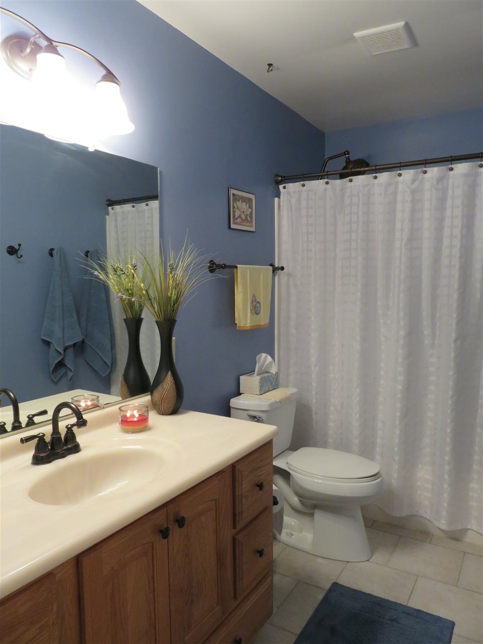 6829 West Winegar Road Perry, MI 48872 - Photo 10 of 26
