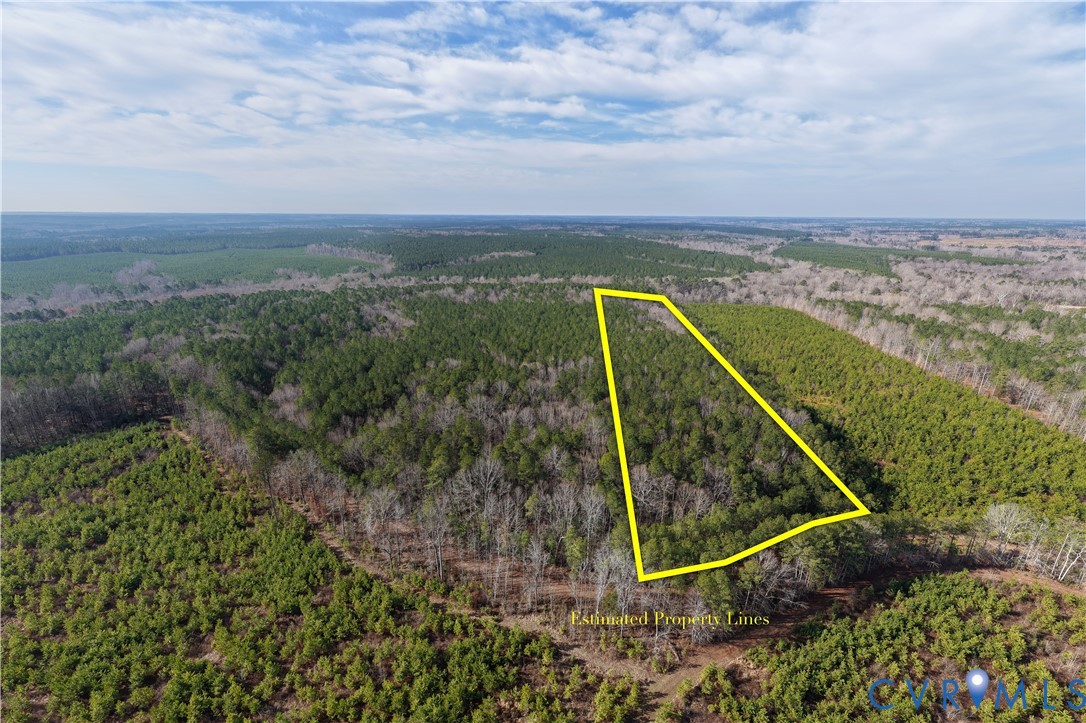 0 Cherry Hill Road McKenney, VA 23872 - Photo 1 of 16