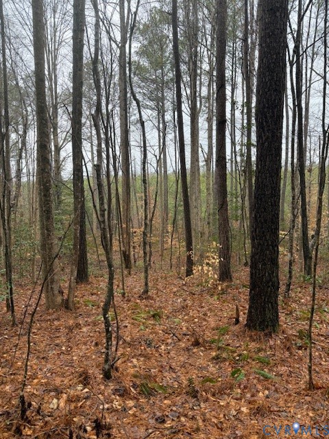 0 Cherry Hill Road McKenney, VA 23872 - Photo 15 of 16 a backyard of a house with lots of green space