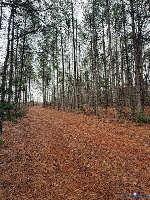 0 Cherry Hill Road McKenney, VA 23872 - Photo 16 of 16 a view of outdoor space with trees