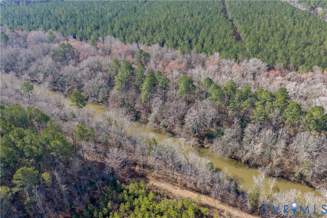 0 Cherry Hill Road McKenney, VA 23872 - Photo 3 of 16 a view of a lush green forest with lots of trees