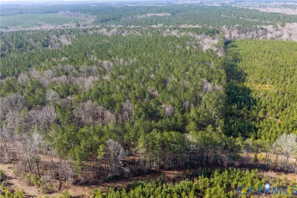 an aerial view of forest