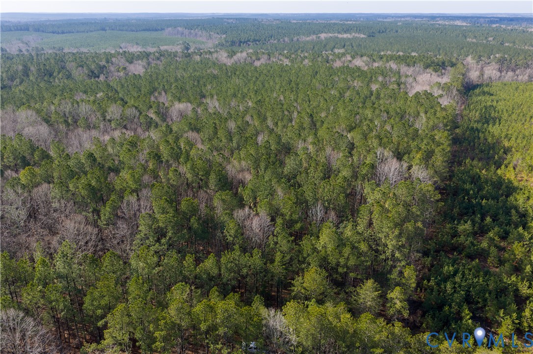 0 Cherry Hill Road McKenney, VA 23872 - Photo 5 of 16 an aerial view of forest