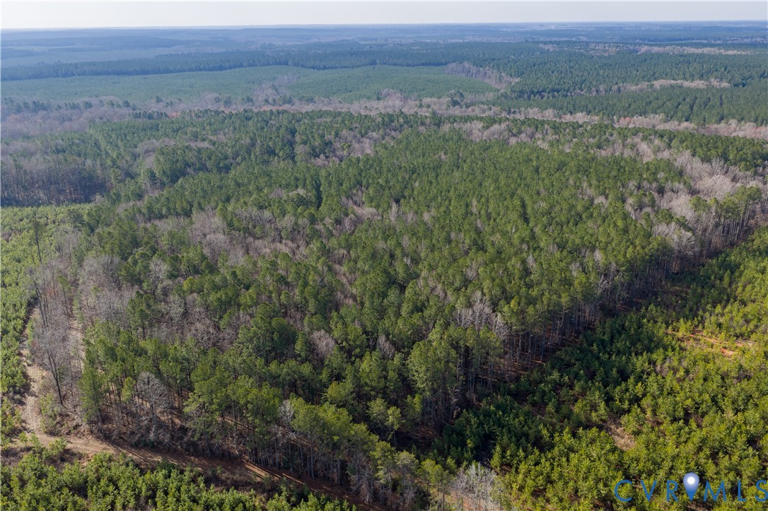 0 Cherry Hill Road McKenney, VA 23872 - Photo 6 of 16 a view of a lush green forest with lush green forest and mountain view