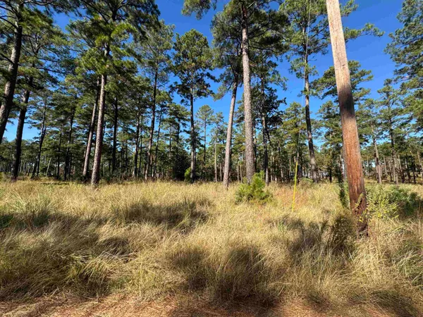$50,000 | 65 Private Road 6028, Brookeland, TX 75931