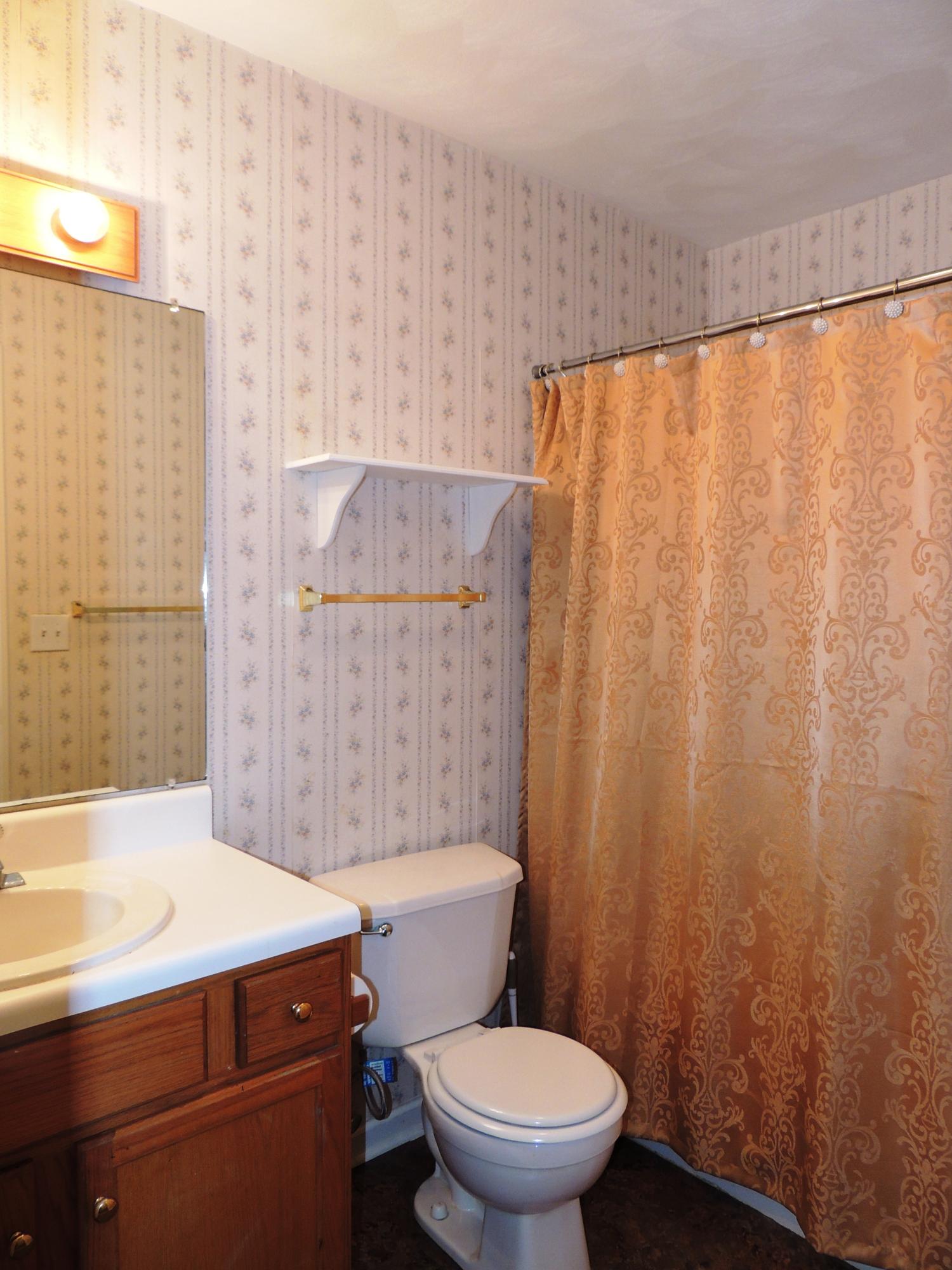 5735 Alean Road Boones Mill, VA 24065 - Photo 7 of 18 Hall Bath