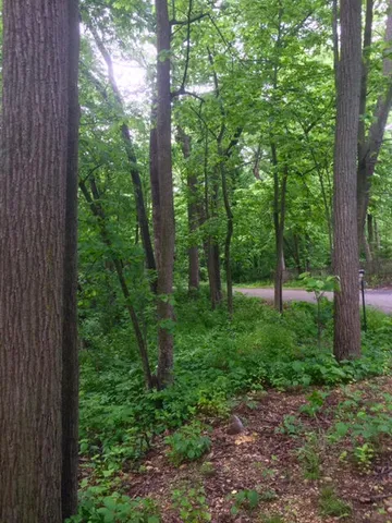 $259,900 | W5754 Nine Indian Trail, Elkhorn, WI 53121