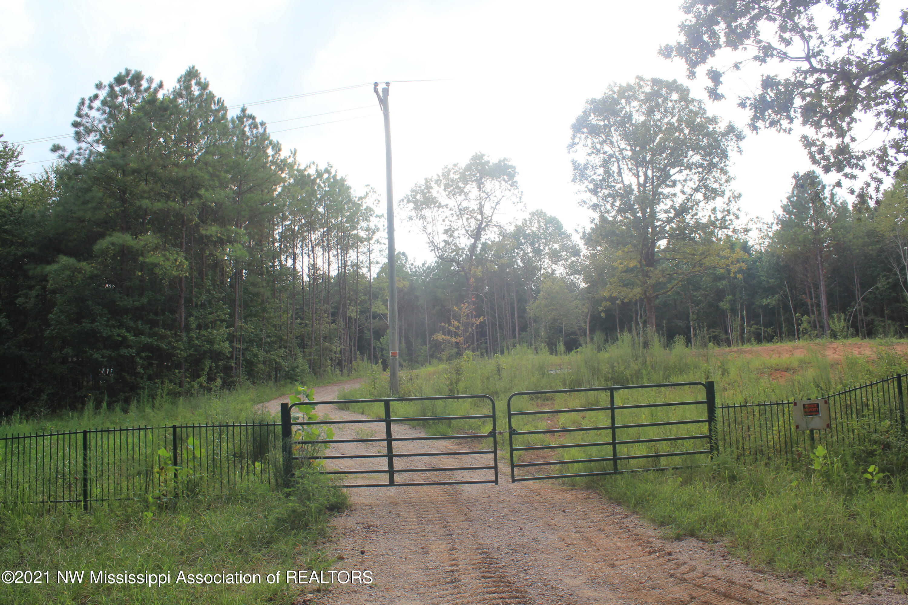 200 Odell Road Holly Springs, MS 38635 - Photo 1 of 13 IMG_7086