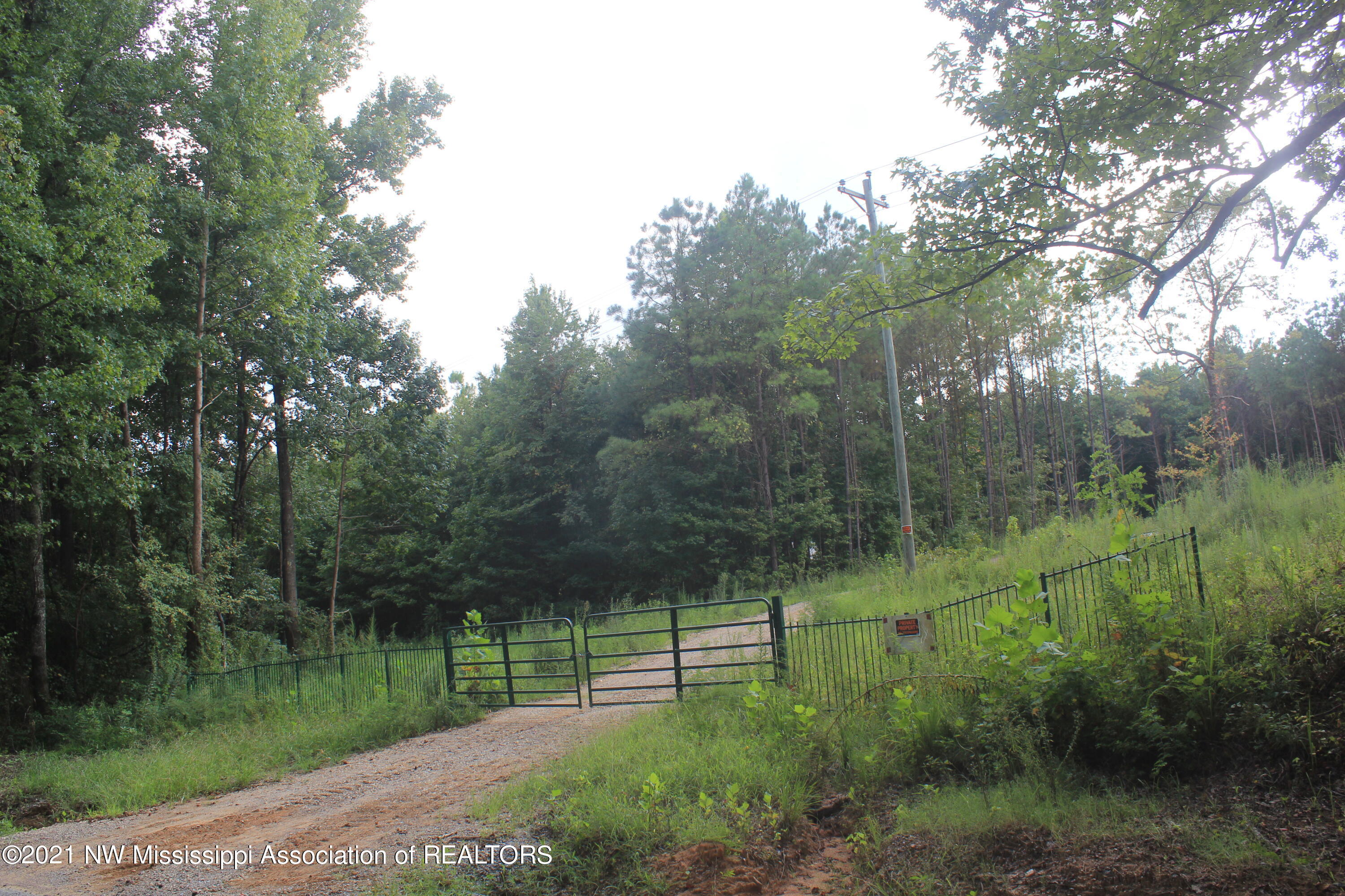 200 Odell Road Holly Springs, MS 38635 - Photo 2 of 13 IMG_7087