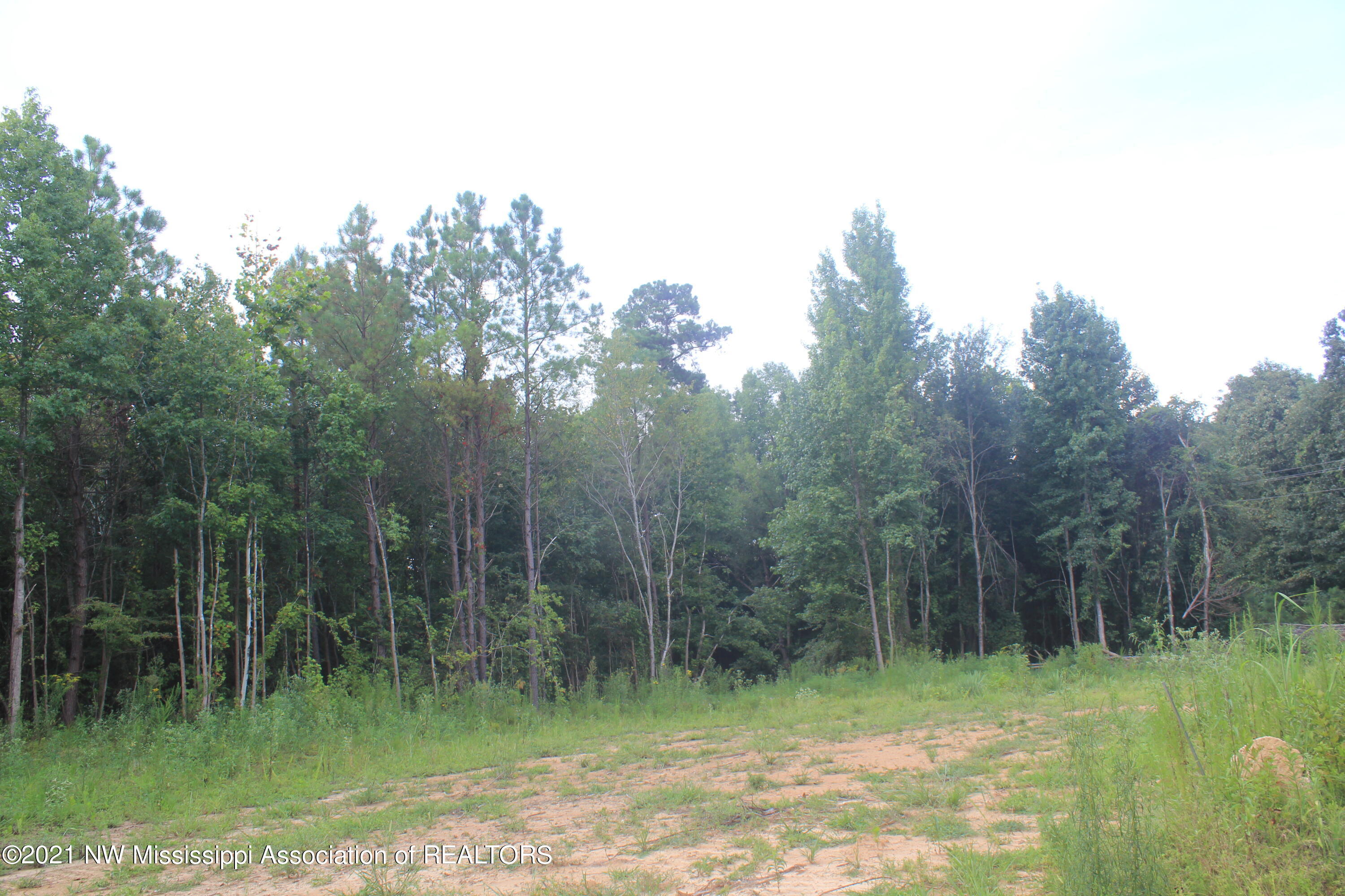 200 Odell Road Holly Springs, MS 38635 - Photo 6 of 13 IMG_7091