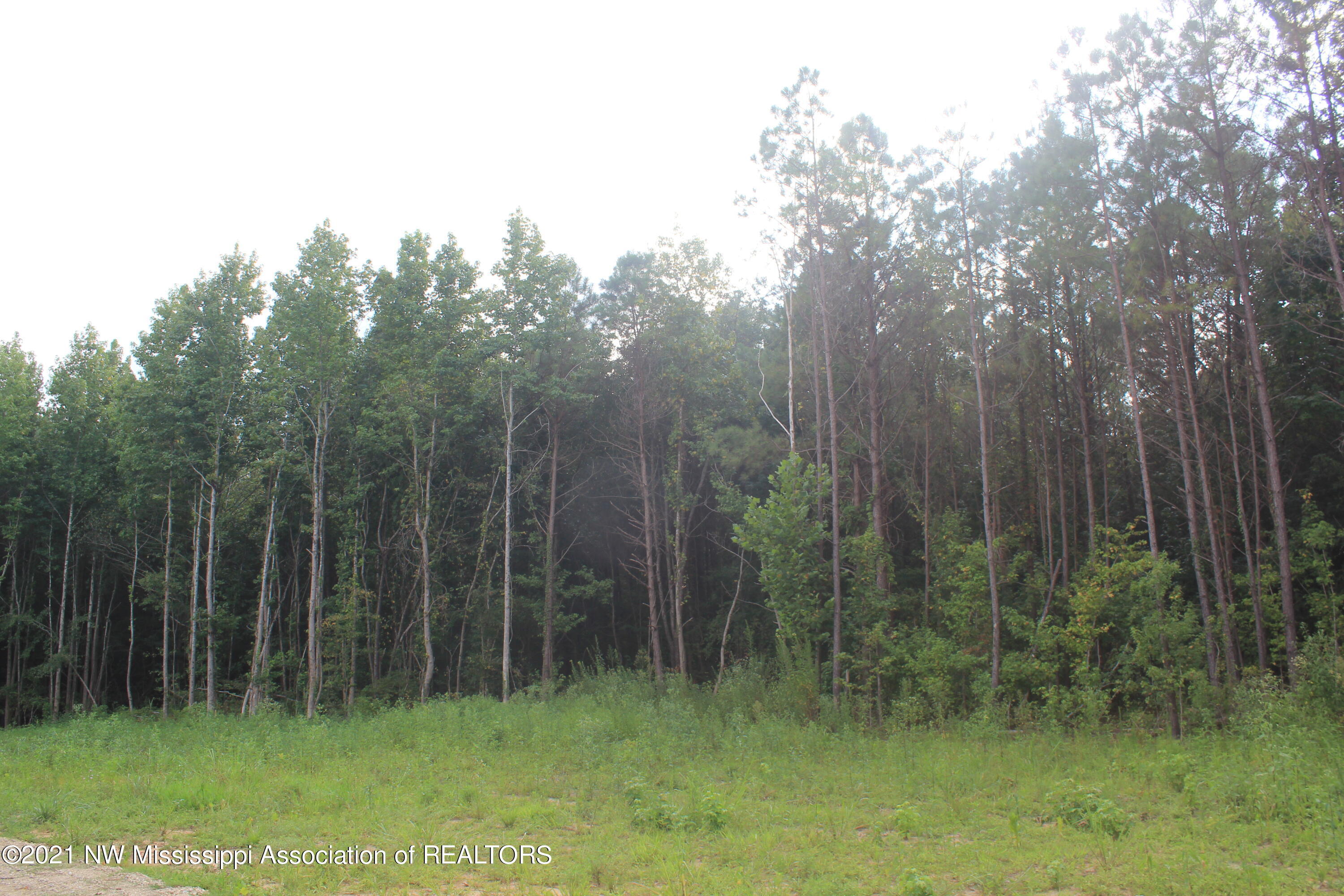 200 Odell Road Holly Springs, MS 38635 - Photo 7 of 13 IMG_7092